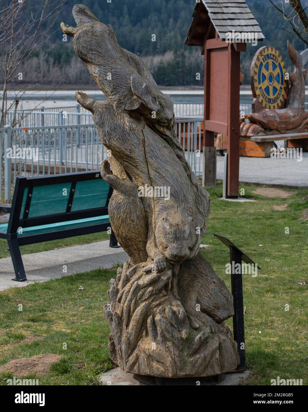 Lontre scultura in Hope, British Columbia, Canada Foto Stock