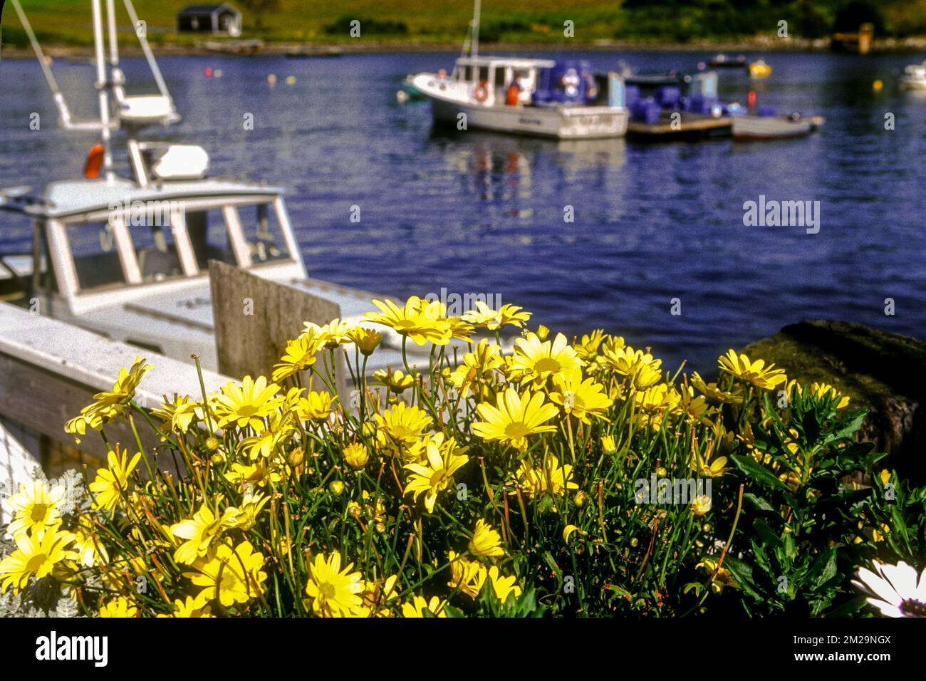 Una barca da pesca ormeggiata a Bailey Island, Maine Foto Stock