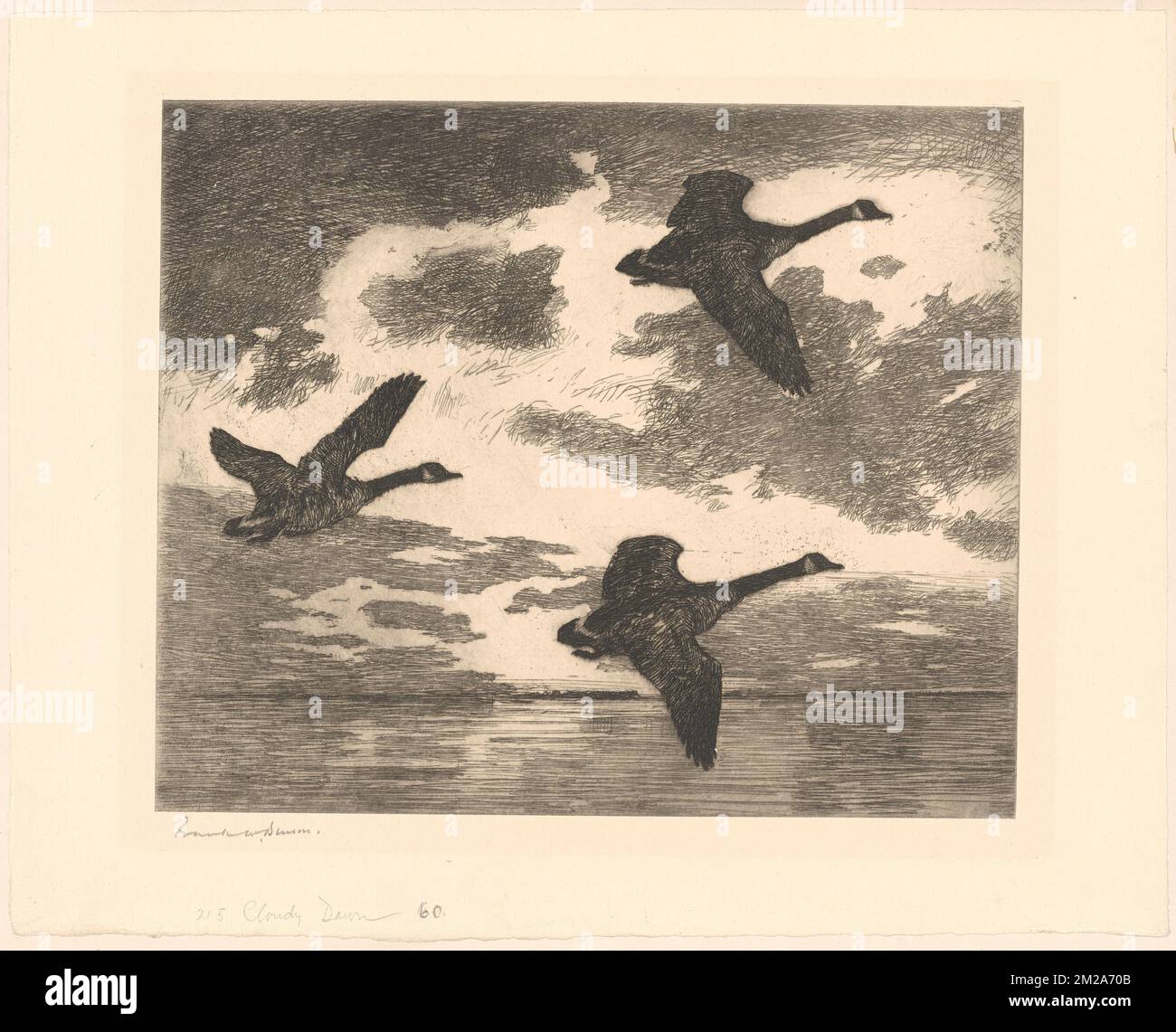 Nuvoloso alba, Geese, volo, Nubi, alba e tramonti. Benson (1862-1951). Stampe e disegni Foto Stock