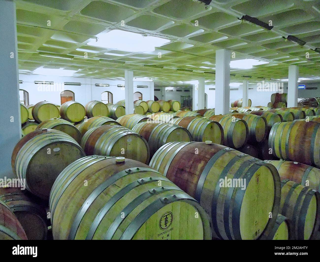 Barrique | Tonneau de vin 31/07/2017 Foto Stock