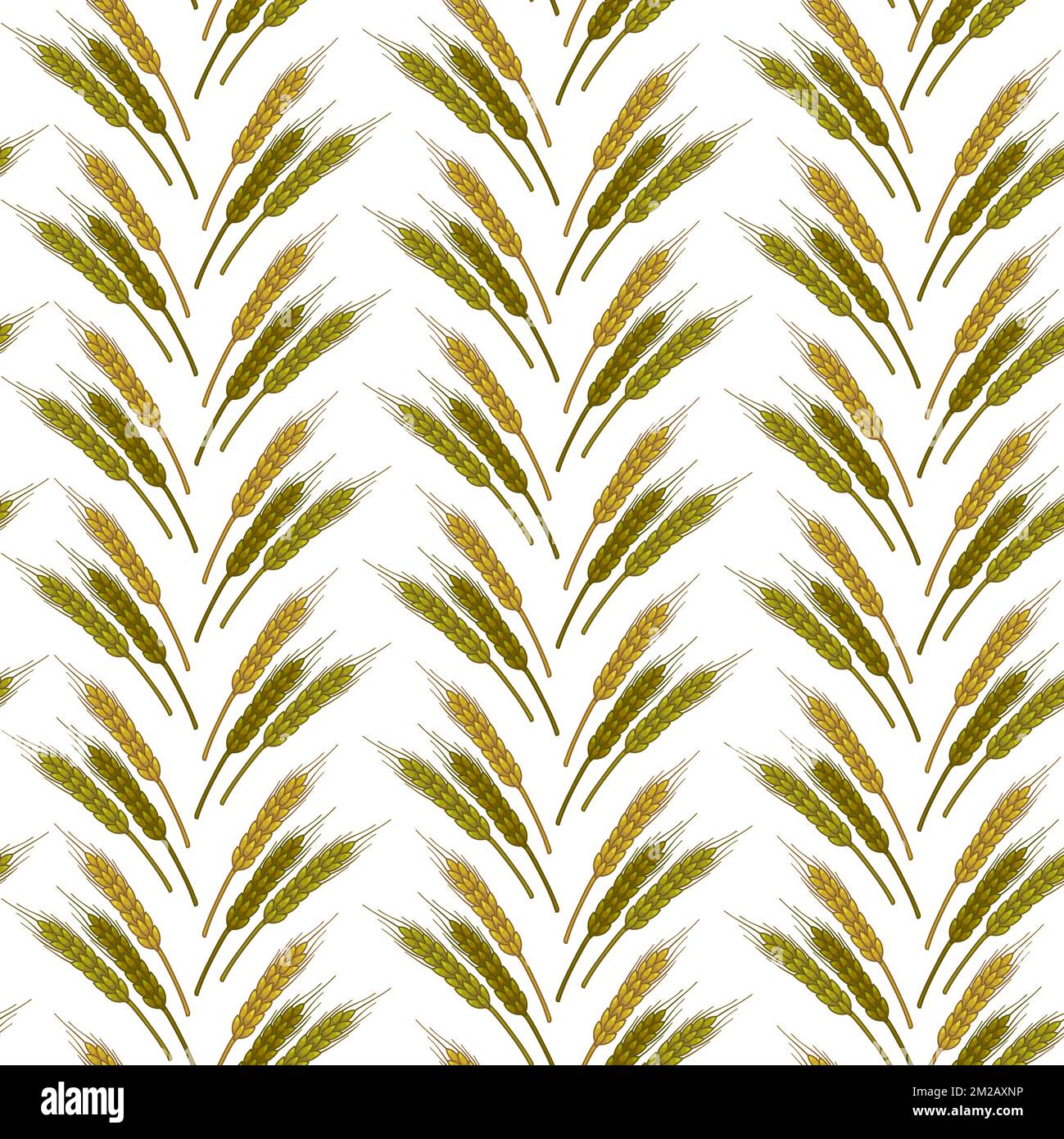 Spikelets di grano in file, agricoltura e raccolta modello senza giunture Illustrazione Vettoriale