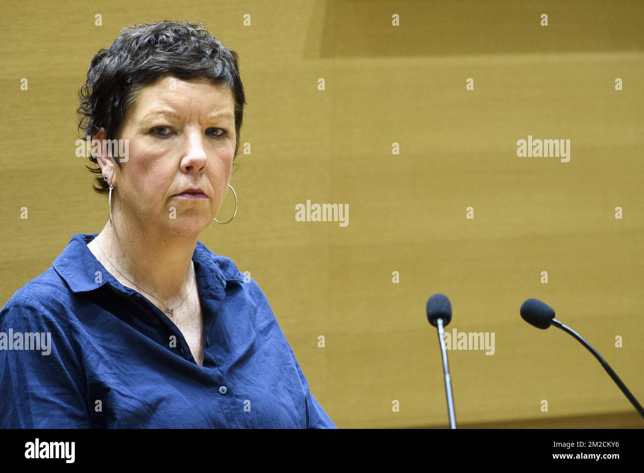 Sessione plenaria al Parlamento della Vallonia Federazione di Bruxelles | sessione pleniere au Parlement de la Federation Vallonie Bruxelles Pix: Stommen 31/01/2018 Foto Stock