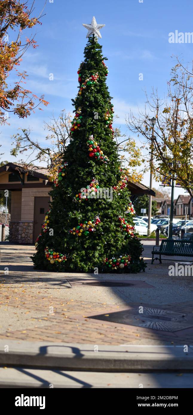 Grande Natale verde eretto in una piazza del centro città splendidamente decorato con ornamenti con una grande stella d'argento sulla cima Foto Stock