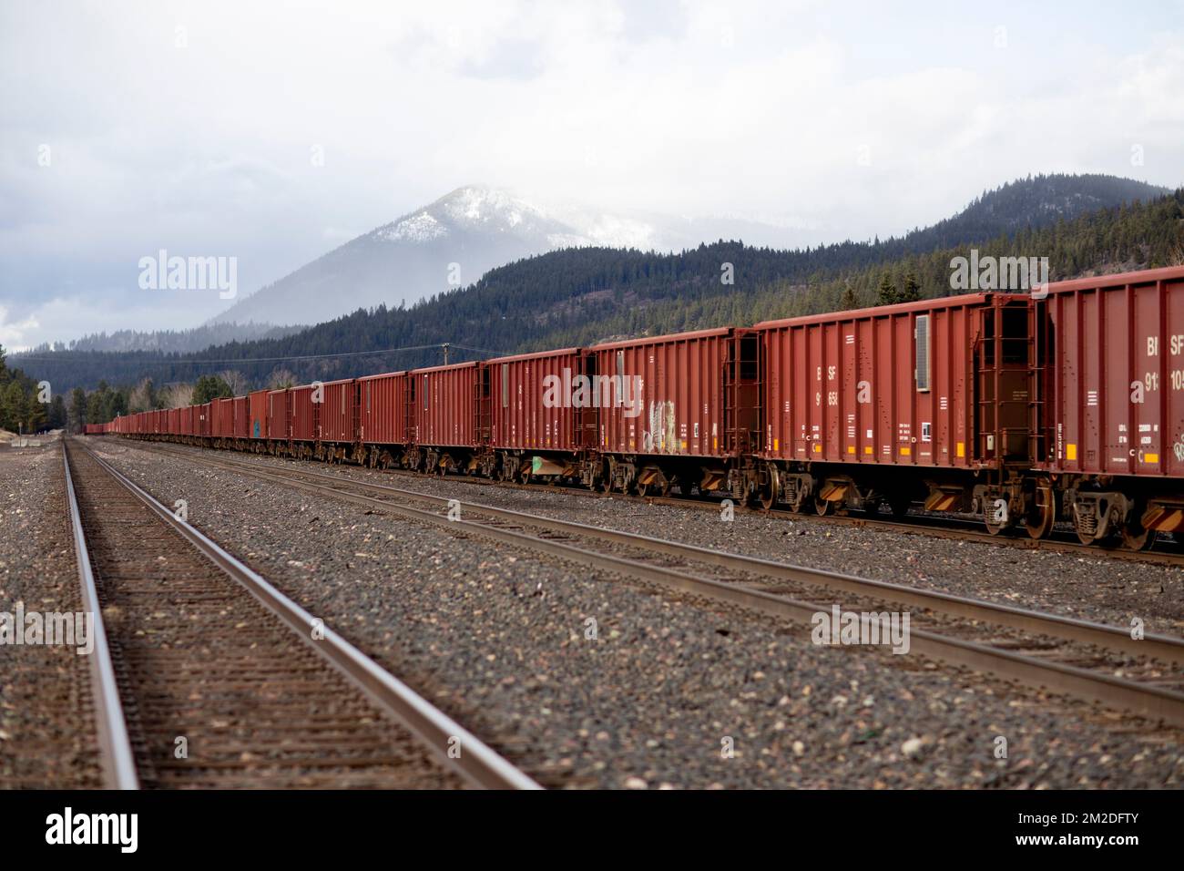 Troy, Montana, Stati Uniti. Febbraio 23, 2021. Una linea di vagoni ferroviari sui binari del cantiere BNSF. Foto Stock