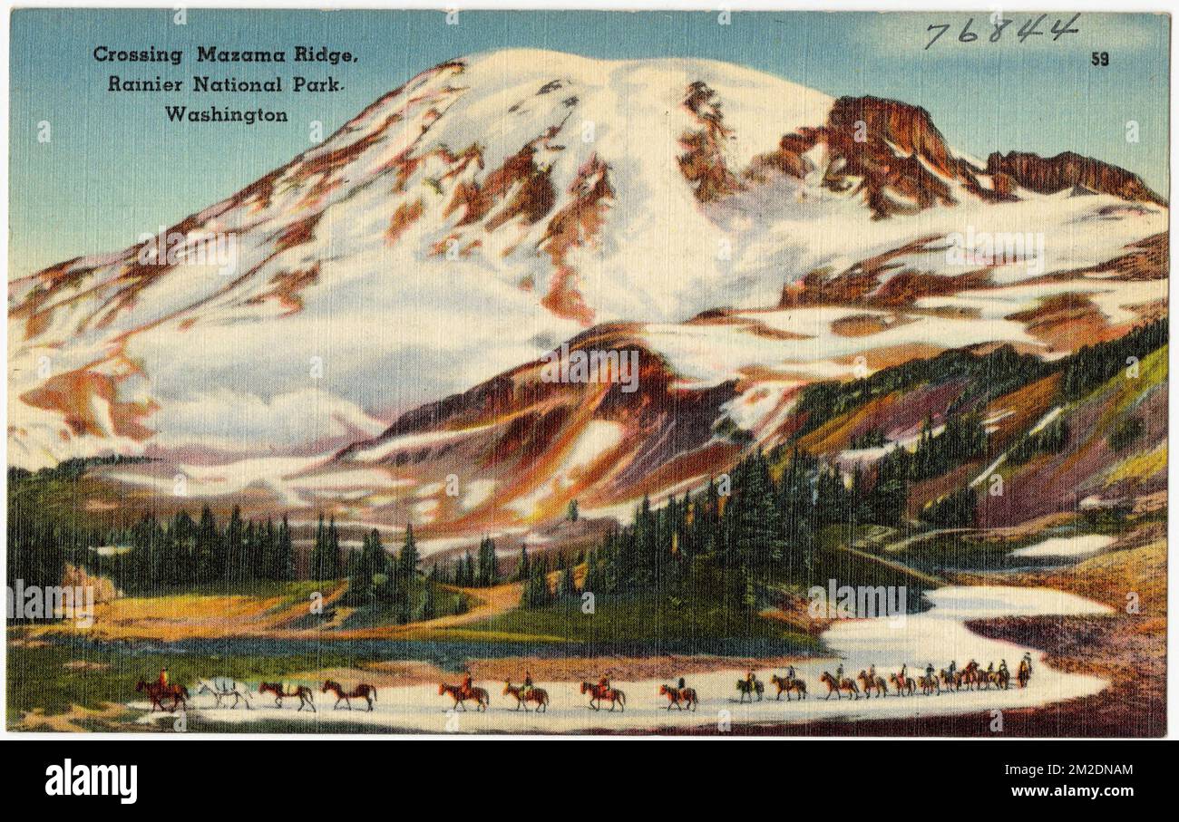 Attraversando Mazama Ridge, Rainier National Park, Washington , Parchi, Montagne, Tichnor Brothers Collection, cartoline degli Stati Uniti Foto Stock