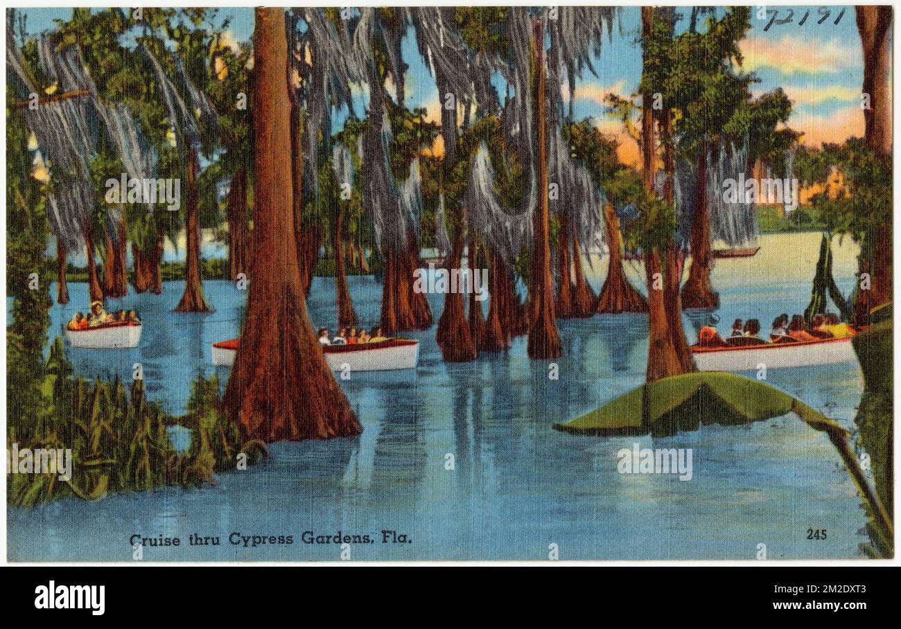 Crociera attraverso i Cypress Gardens, Fla. , Tichnor Brothers Collection, cartoline degli Stati Uniti Foto Stock