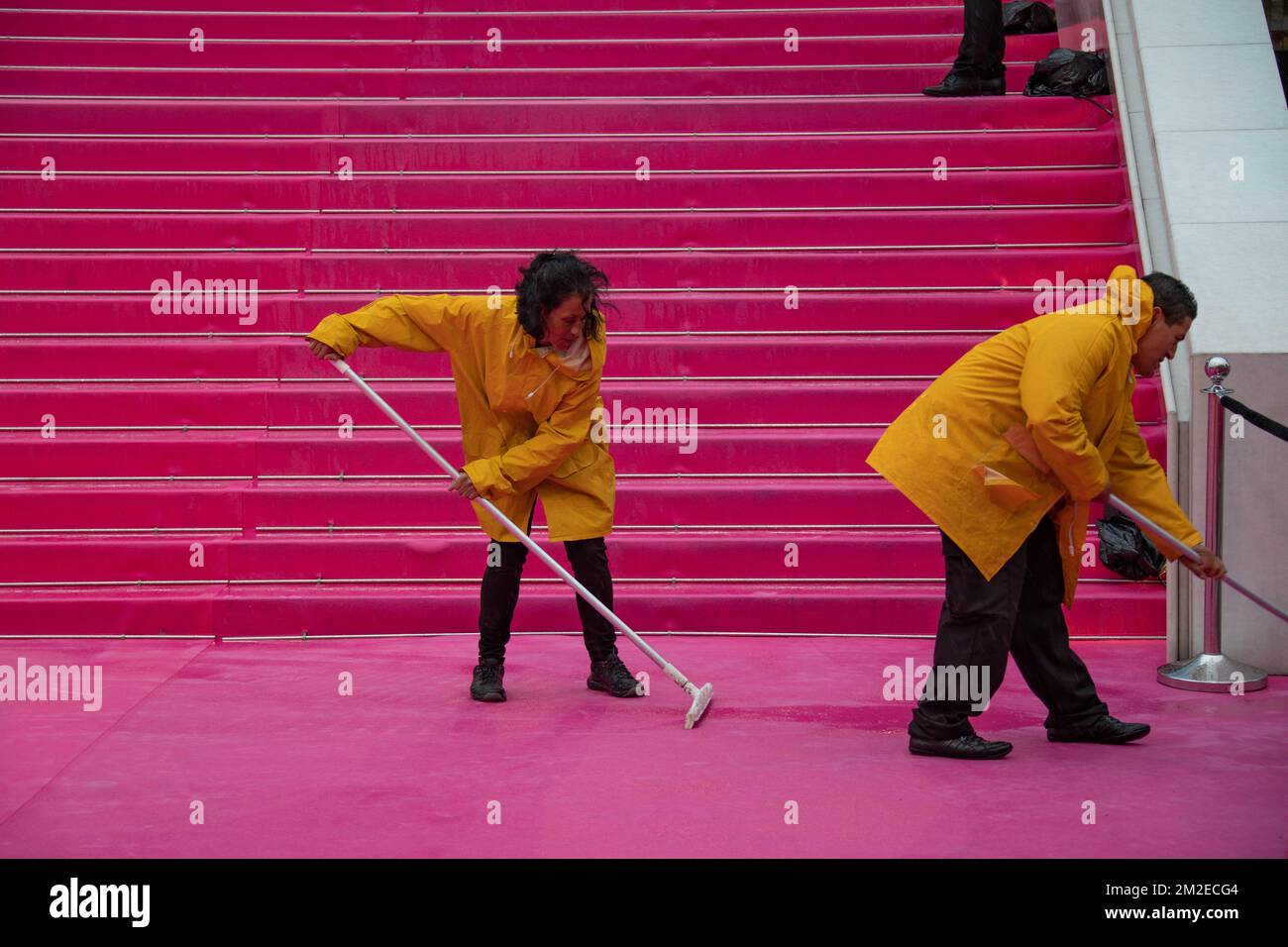 Pulire il tappeto rosa, dopo la pioggia al Festival di Cannes serie. | Nettoyage du tapis rose, après la pluie au Cannes séries Festival. 11/04/2018 Foto Stock