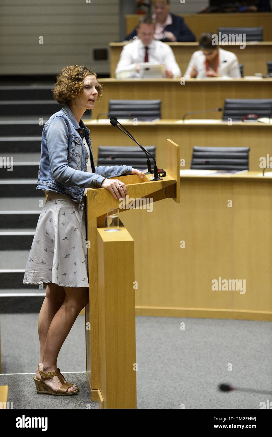 Sessione plenaria al Parlamento della Vallonia Federazione di Bruxelles | sessione pleniere au Parlement de la Federation Vallonie Bruxelles 18/04/2018 Foto Stock