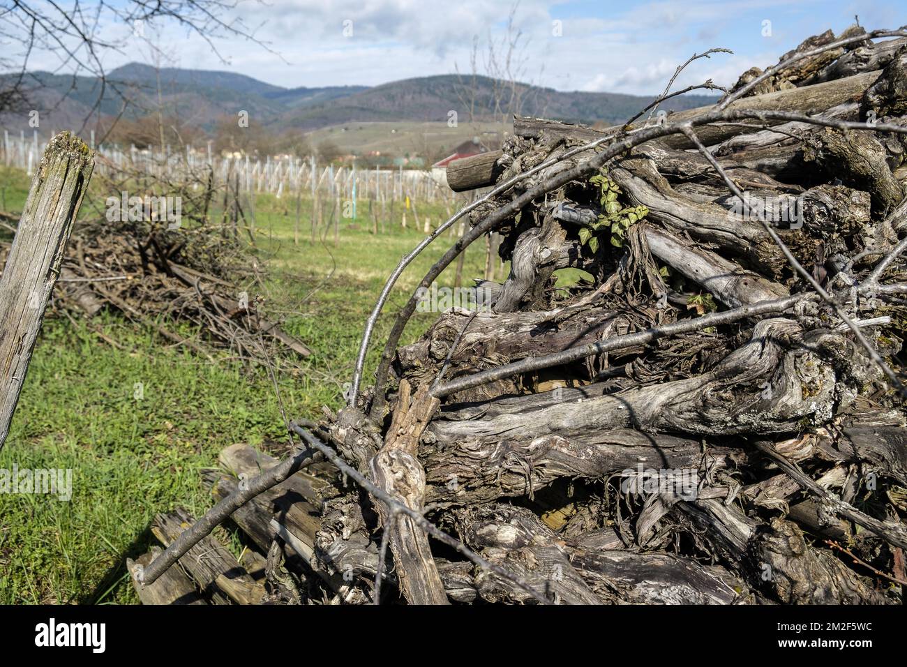 Bois de chauffage aligne en steres. En toutes saisons le bois est laisse a l'air libre parfois protege au-dessus par une bache ou des placques metalliques. Il eliminera aintoute trace de seve pendant trois ans et sera alors bien sec pour etre brule. | asciugare il legno per tre anni prima di bruciarlo. Rimane fuori per perdere il suo sap. 12/05/2018 Foto Stock