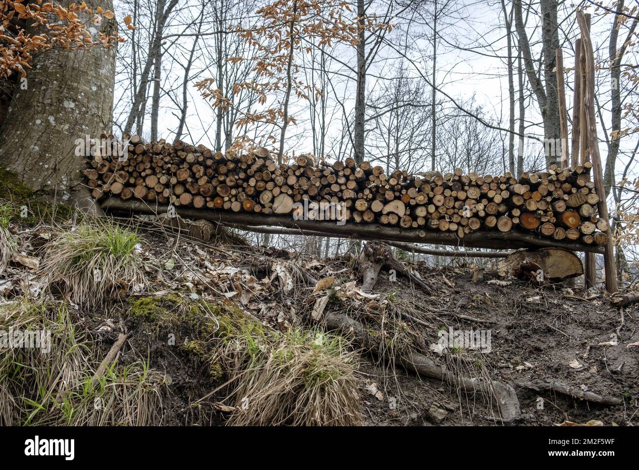 Bois de chauffage aligne en steres. En toutes saisons le bois est laisse a l'air libre parfois protege au-dessus par une bache ou des placques metalliques. Il eliminera aintoute trace de seve pendant trois ans et sera alors bien sec pour etre brule. | asciugare il legno per tre anni prima di bruciarlo. Rimane fuori per perdere il suo sap. 12/05/2018 Foto Stock