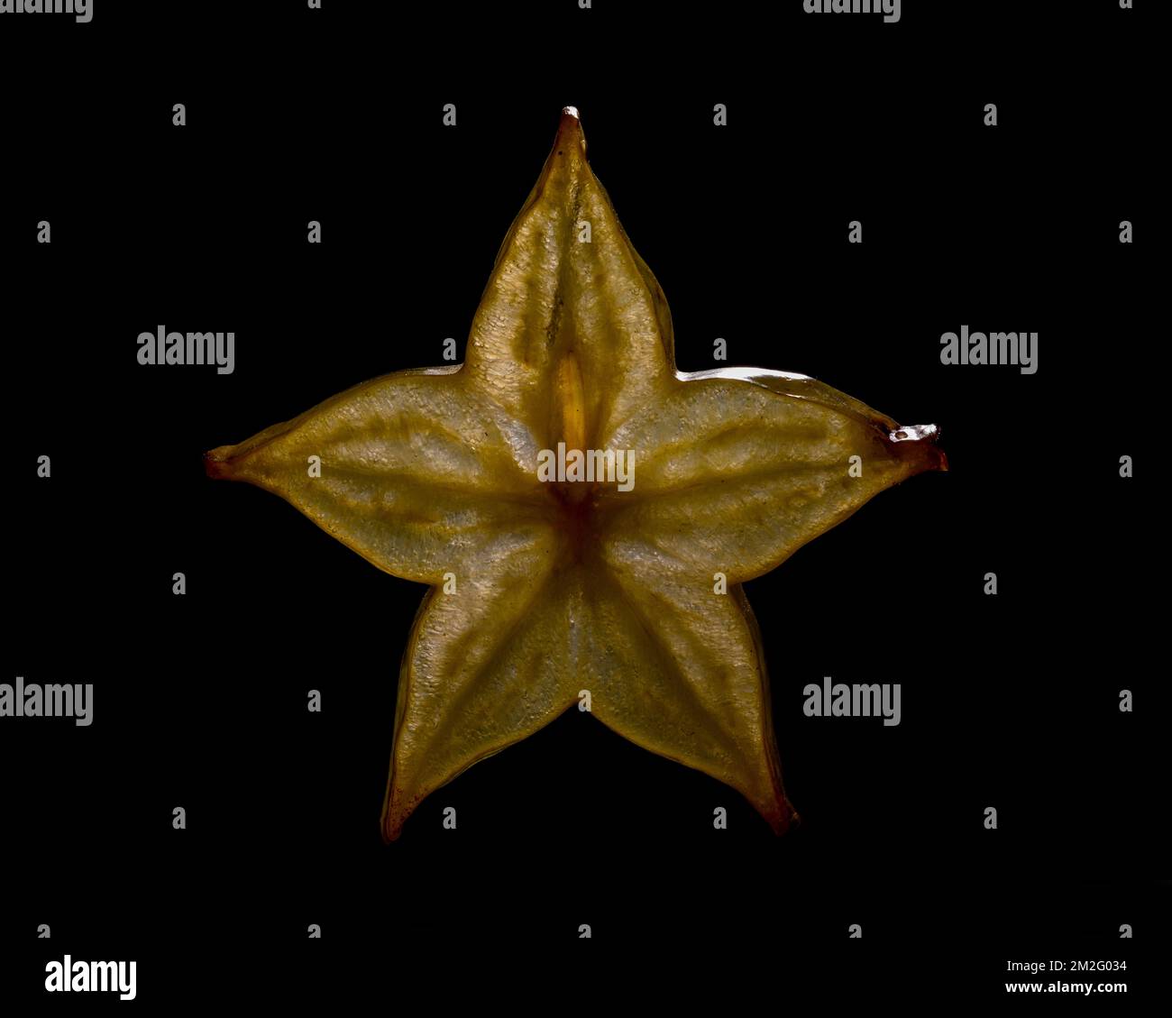 Una sottile fetta di frutta o verdura fotografata contro la retroilluminazione in un ambiente da studio. La texture traslucida e i dettagli vivaci Foto Stock