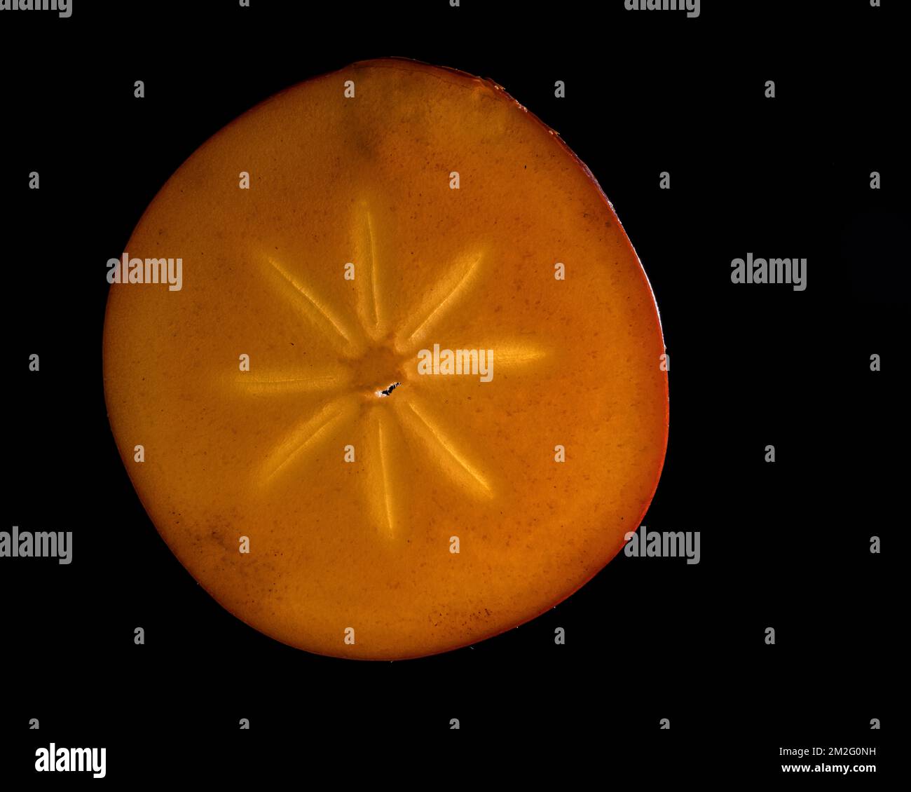 Una sottile fetta di frutta o verdura fotografata contro la retroilluminazione in un ambiente da studio. La texture traslucida e i dettagli vivaci Foto Stock