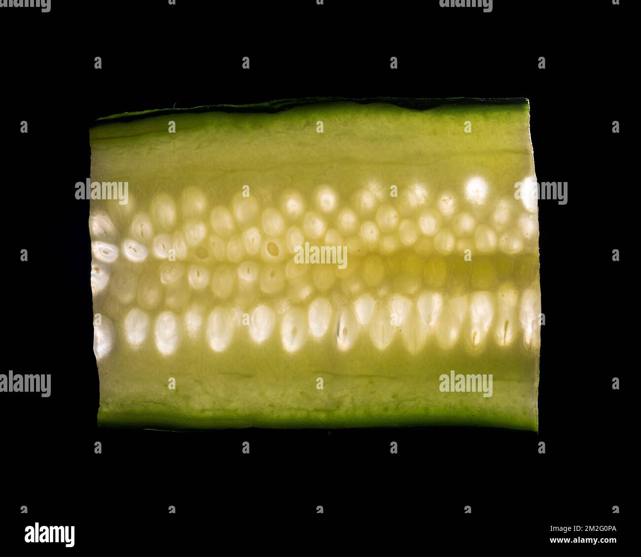Una sottile fetta di frutta o verdura fotografata contro la retroilluminazione in un ambiente da studio. La texture traslucida e i dettagli vivaci Foto Stock