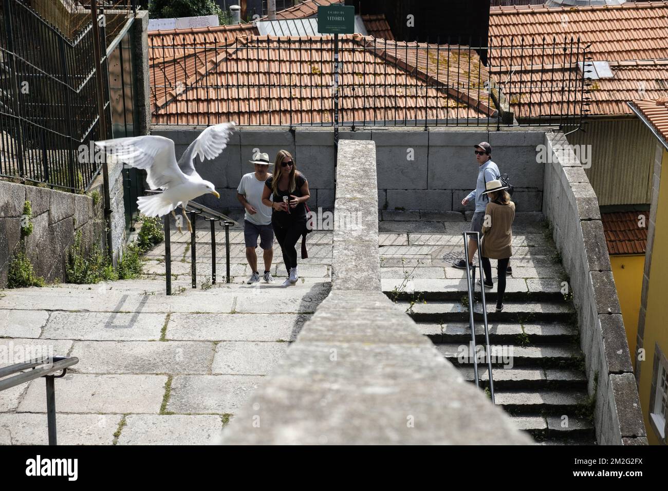 La bella città di Porto. | la ville de Porto Foto: JMQuinet/Reporters 12/06/2018 Foto Stock