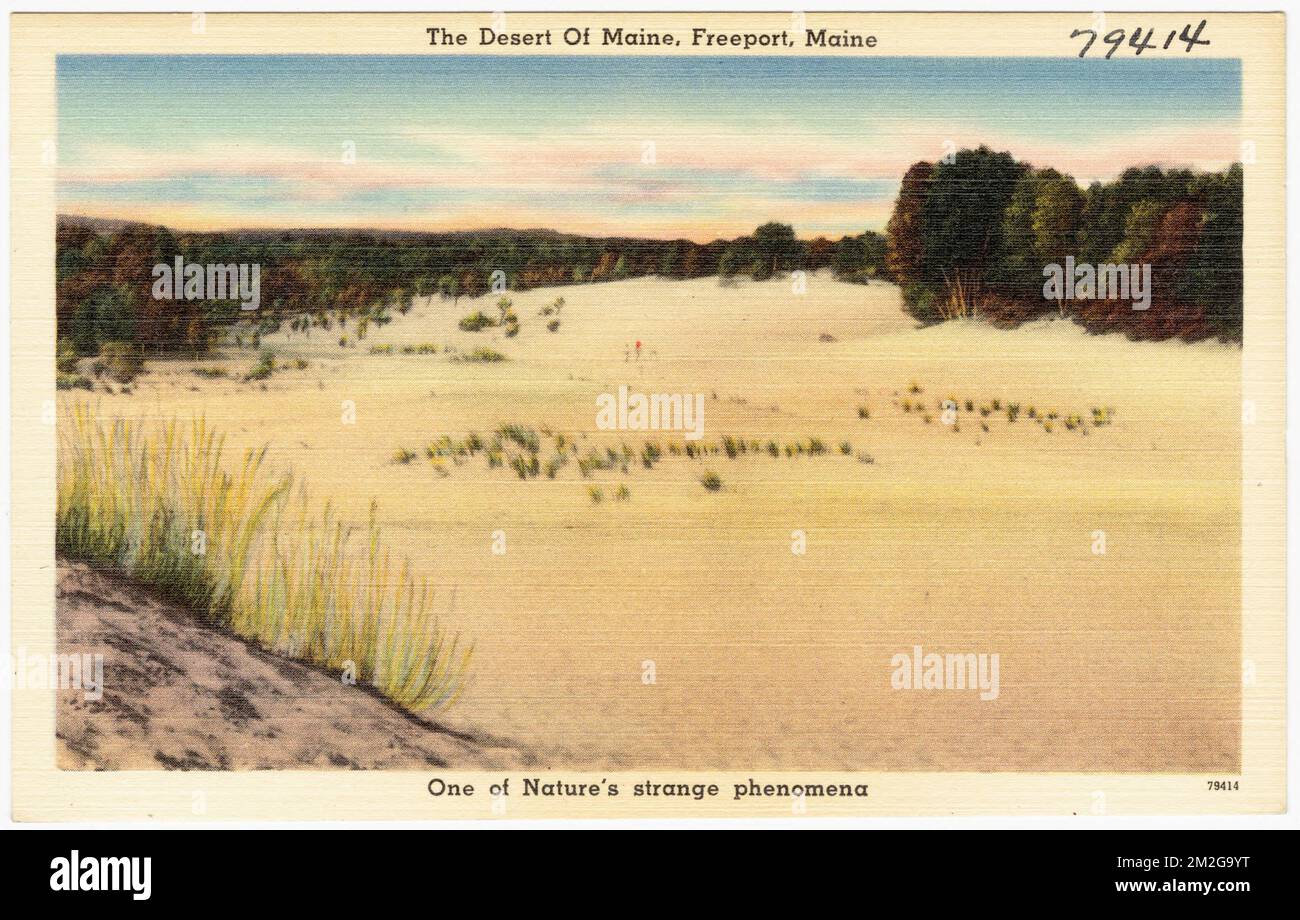 Il deserto del Maine, Freeport, Maine, uno dei fenomeni strani della natura, Tichnor Brothers Collection, cartoline degli Stati Uniti Foto Stock