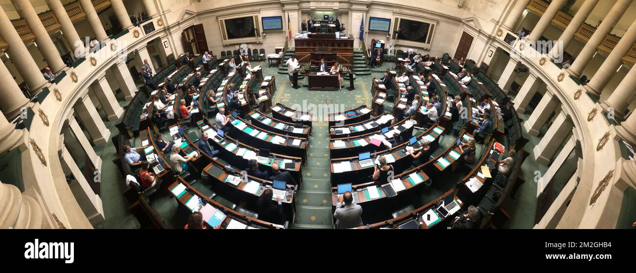 Immagine ripresa nel corso di una sessione plenaria della Camera al Parlamento federale a Bruxelles, giovedì 05 luglio 2018. BELGA FOTO BENOIT DOPPAGNE Foto Stock