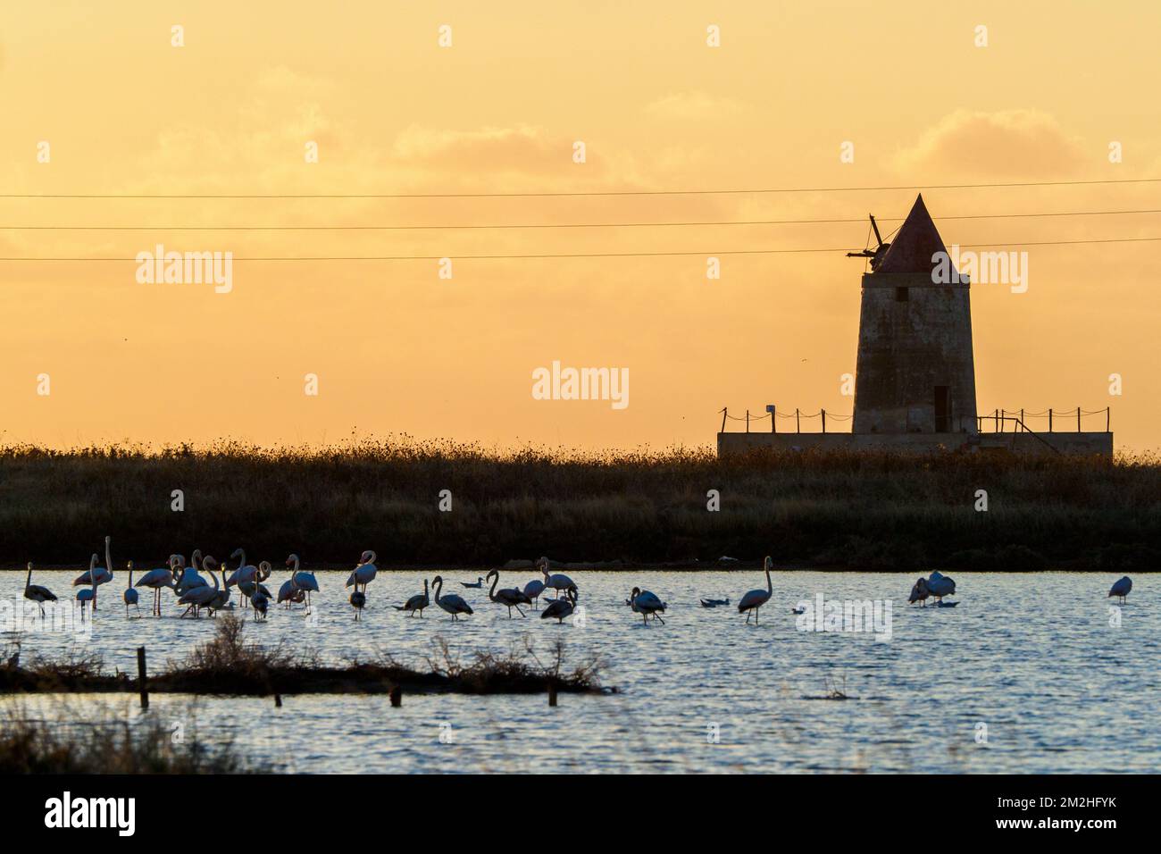 Saline della Riserva Naturale di Trapani e Paceco - Sicilia, Italia Foto Stock