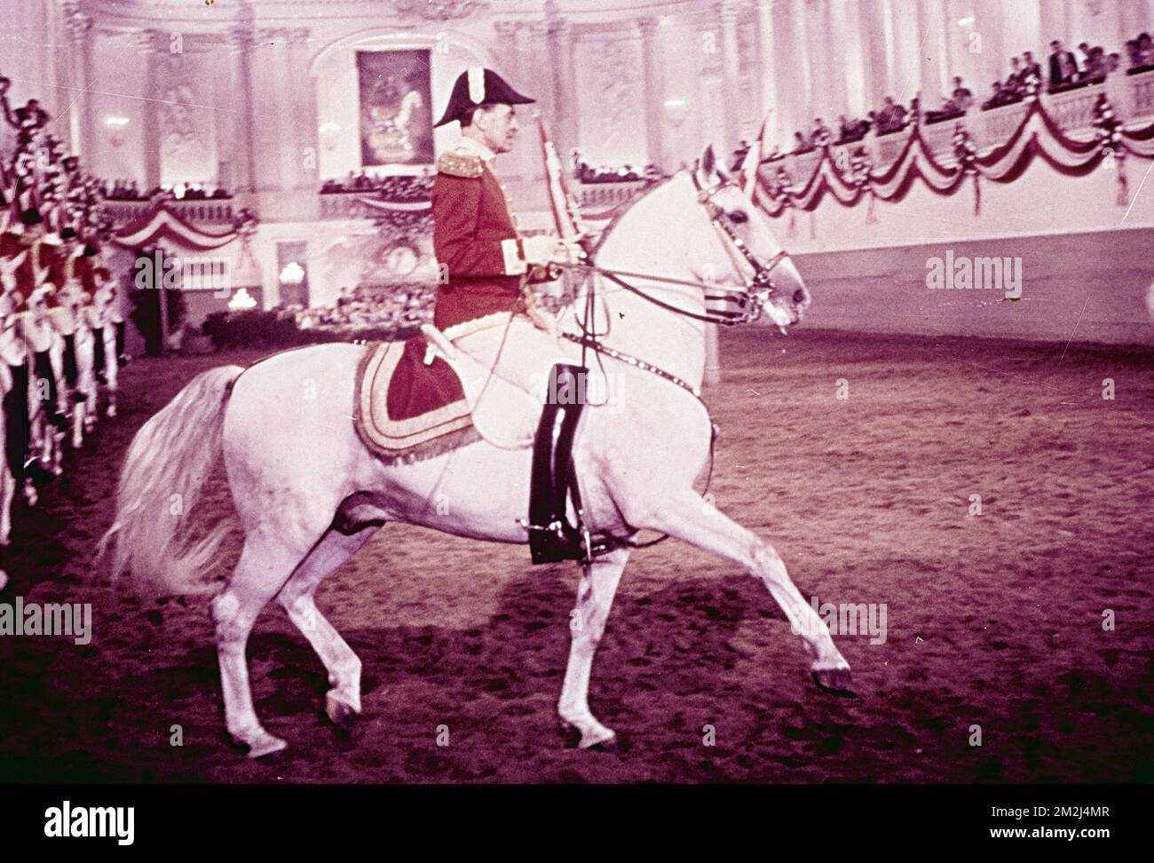 Vista dei cavalli e dei cavalieri Lipizzani presso la Scuola di Equitazione Spagnola, Vienna, Austria 1960s Foto Stock