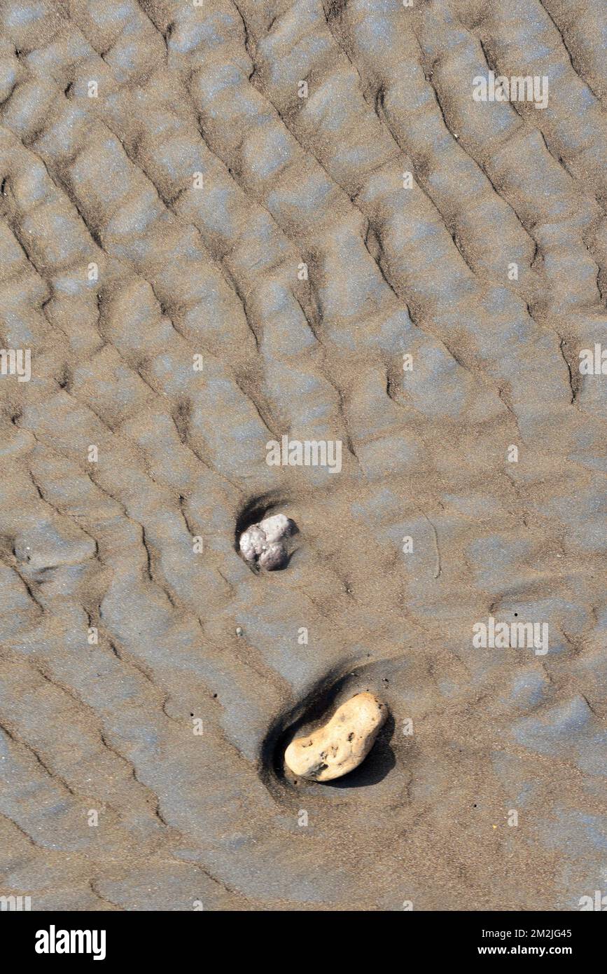 Pietra di roccia sulla spiaggia di sabbia, Surwada Beach, Valsad, Gujarat, India Foto Stock