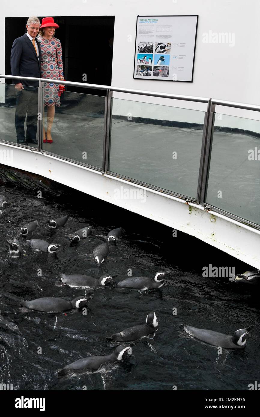 Re Filippo - Filip del Belgio e la Regina Mathilde del Belgio hanno fatto foto durante una visita alla Fondazione Oceano Azul e all'Oceanarium il secondo giorno di una visita di Stato di tre giorni dei reali belgi in Portogallo, a Lisbona, martedì 23 ottobre 2018. FOTO DI BELGA FREDERIC SIERAKOWSKI Foto Stock