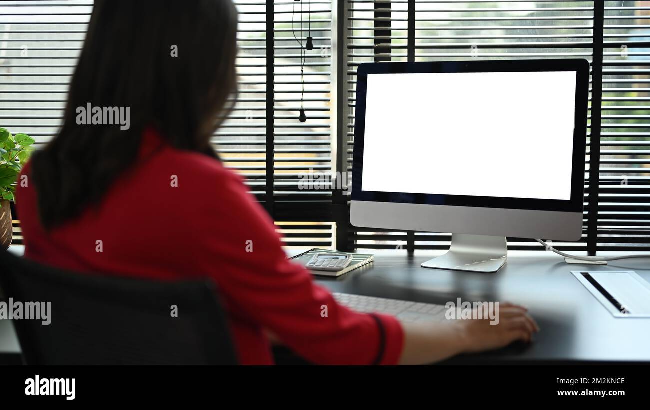 Vista posteriore dell'investitore che guarda lo schermo del computer, controllando le informazioni online sul personal computer Foto Stock