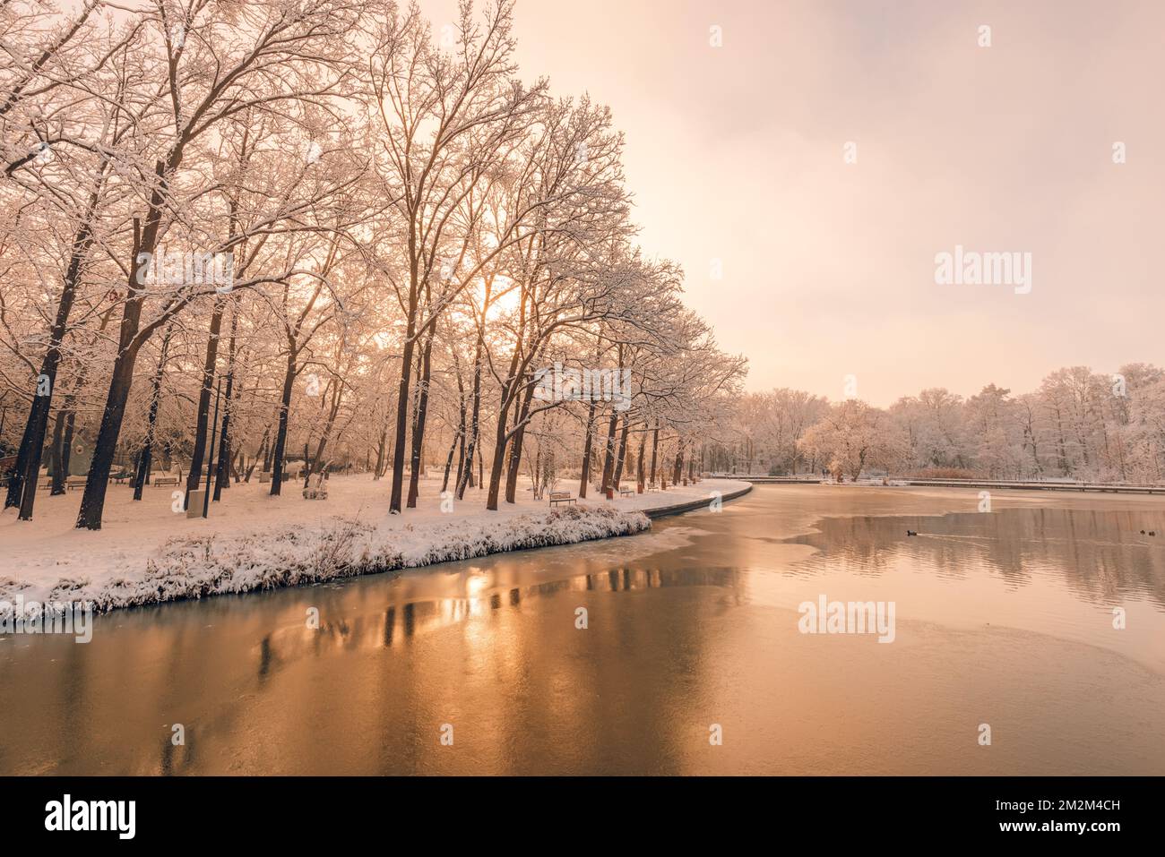 Sognate la foresta invernale sul fiume al tramonto. Paesaggio panoramico con alberi innevati, sole, bel fiume ghiacciato con riflesso in acqua. Stagionale Foto Stock