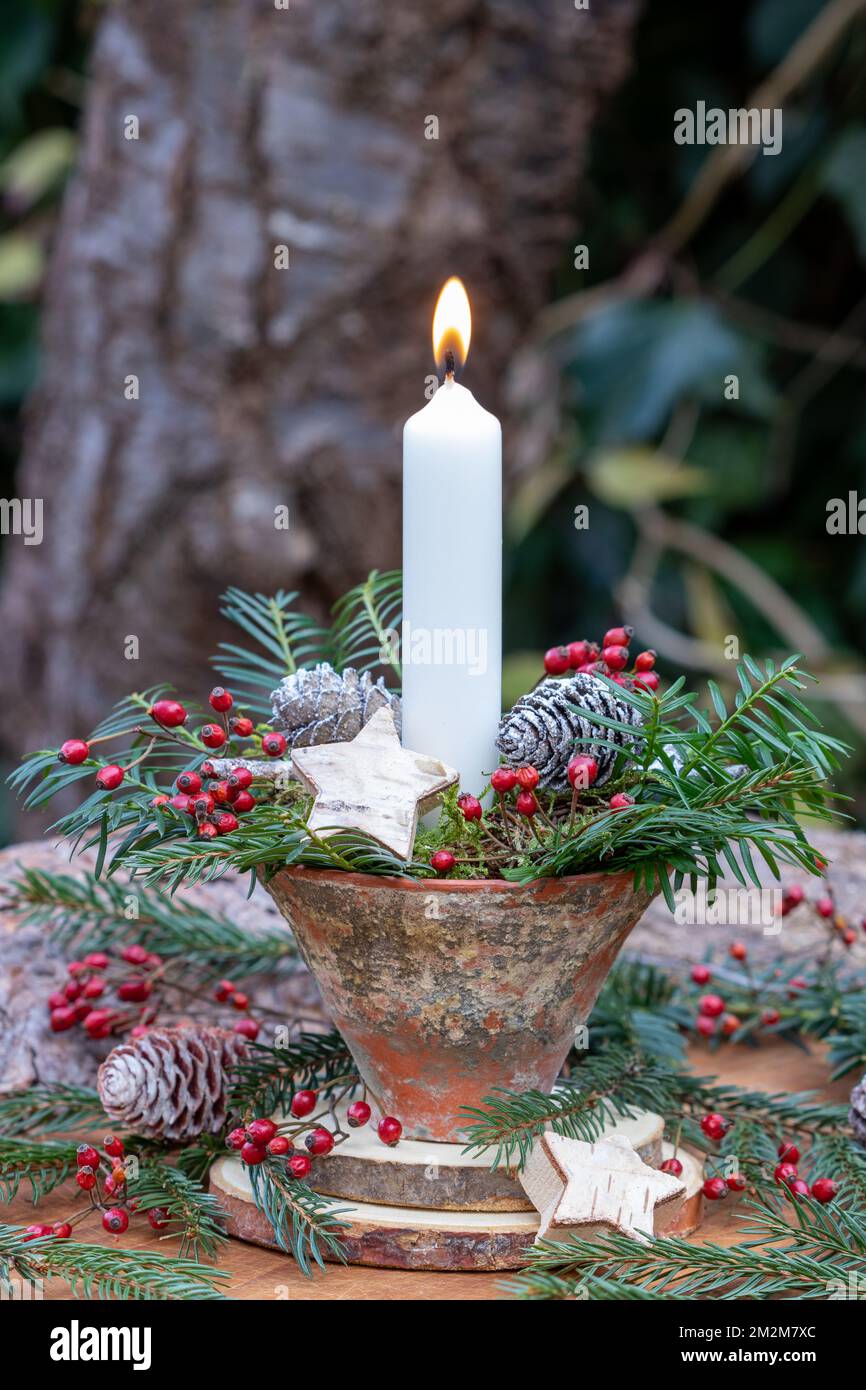 decorazione natalizia con candela bianca in terracotta, rami di conifere e fianchi di rosa Foto Stock