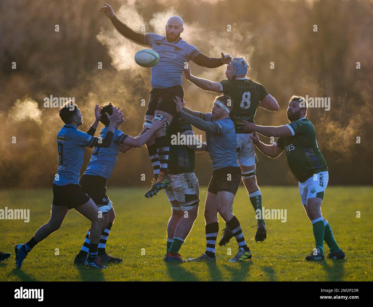 Giocatori di rugby in azione Foto Stock