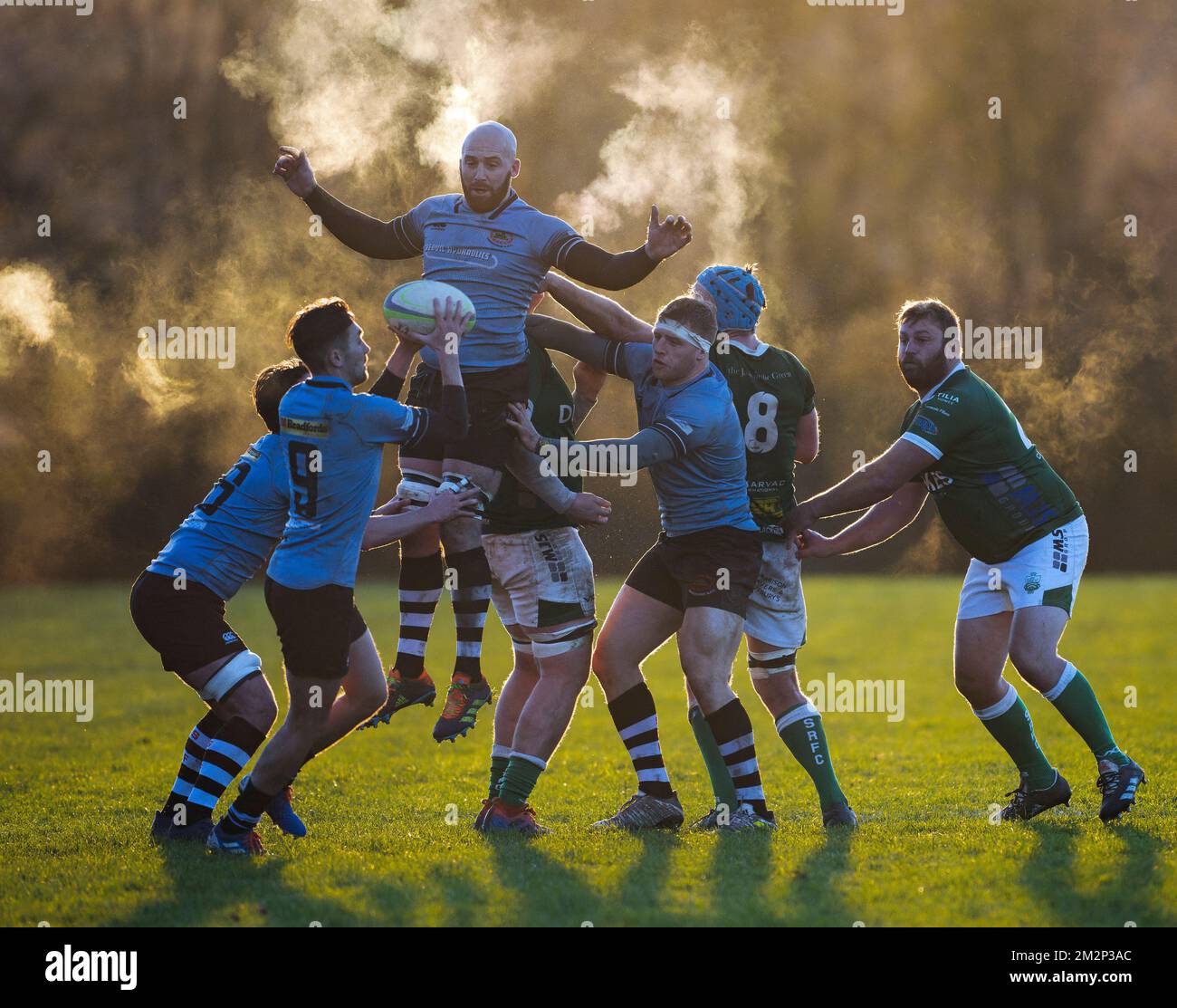Giocatori di rugby in azione Foto Stock