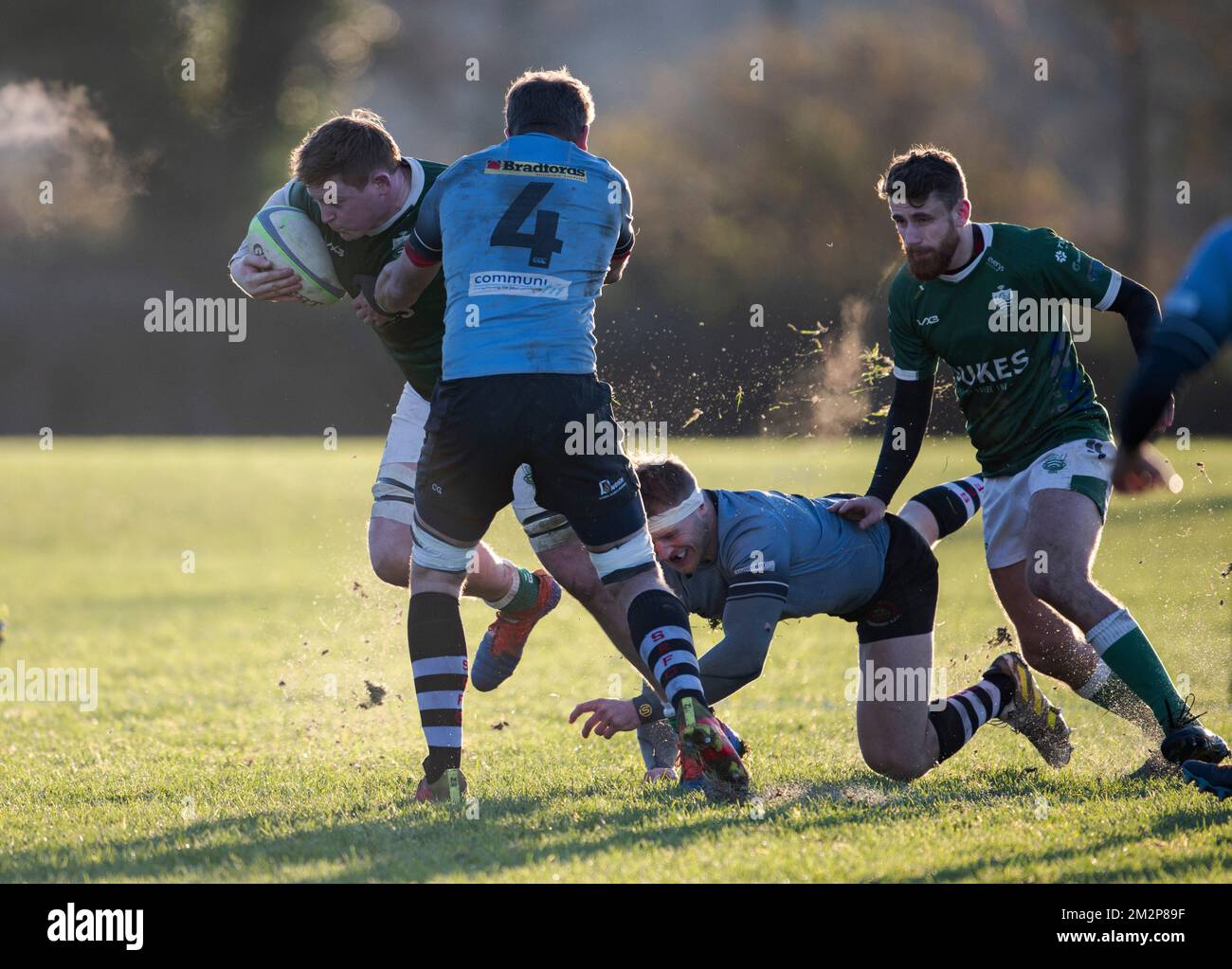 Giocatori di rugby in azione Foto Stock