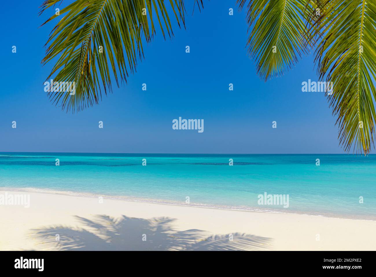 Paesaggio estivo della spiaggia. costa tropicale dell'isola, costa con foglie di palma. Incredibile orizzonte di mare blu, cielo luminoso e sabbia bianca come vacanza rilassante Foto Stock