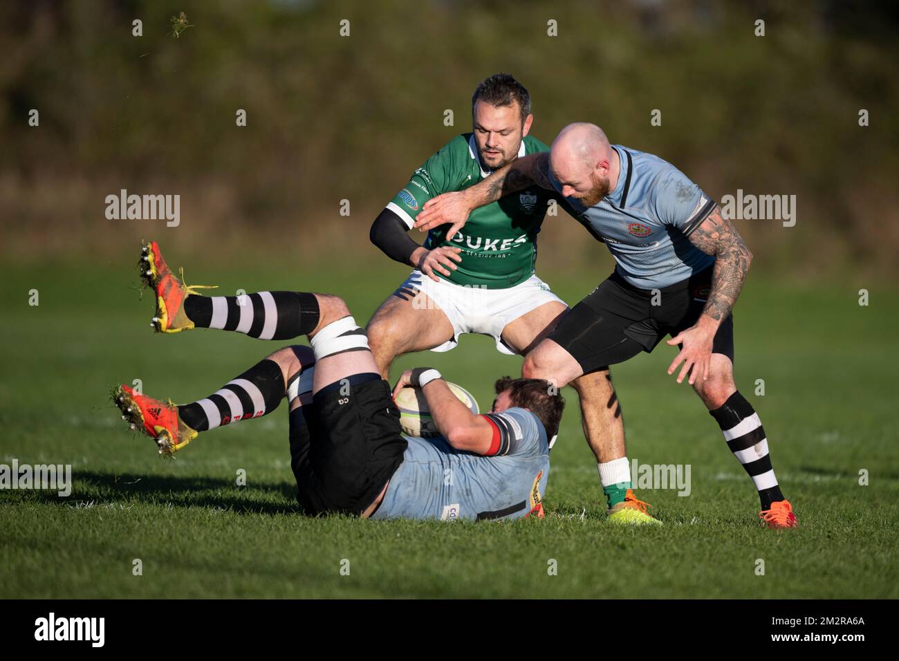 Giocatori di rugby in azione Foto Stock