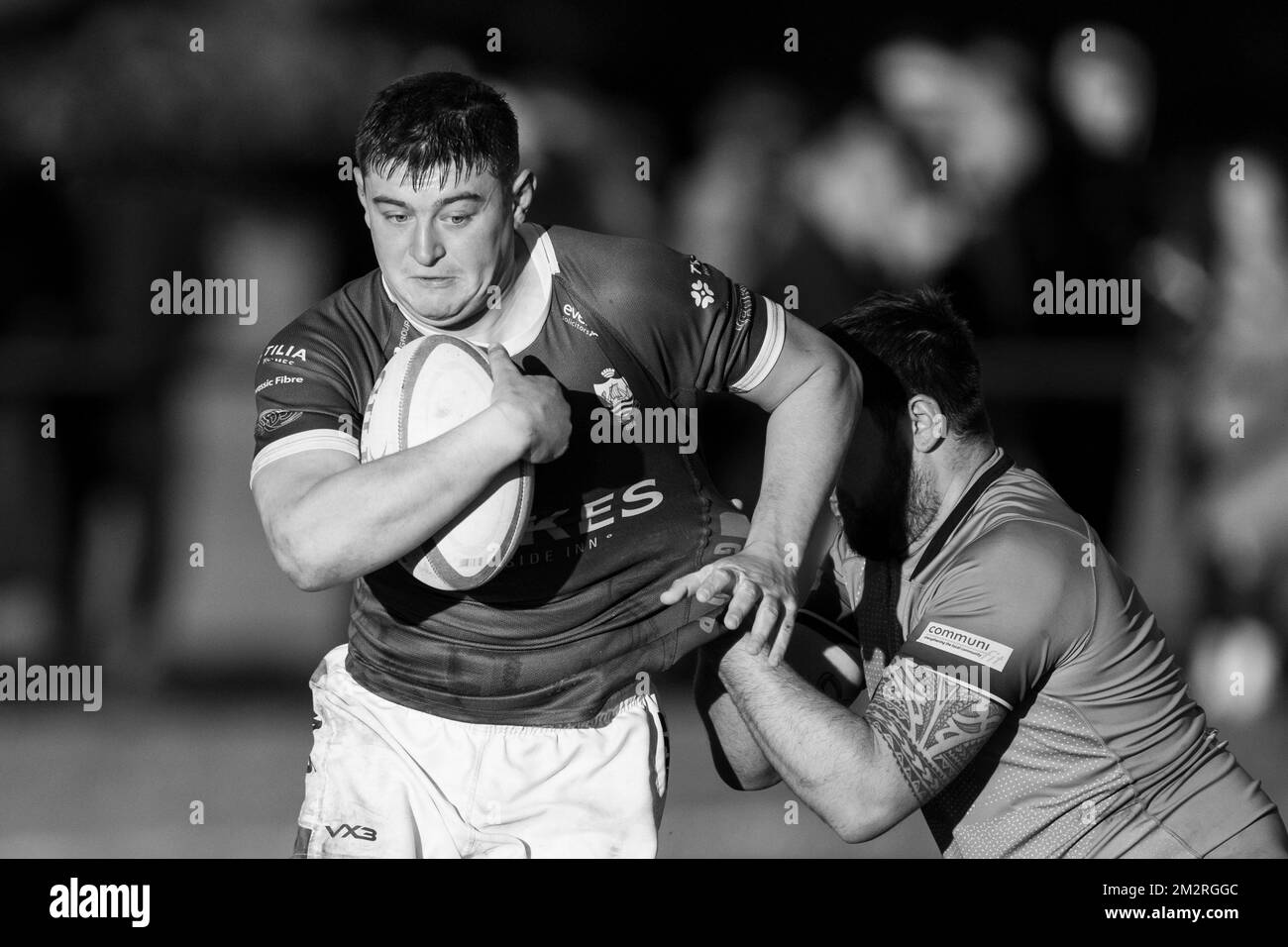 Giocatori di rugby in azione Foto Stock