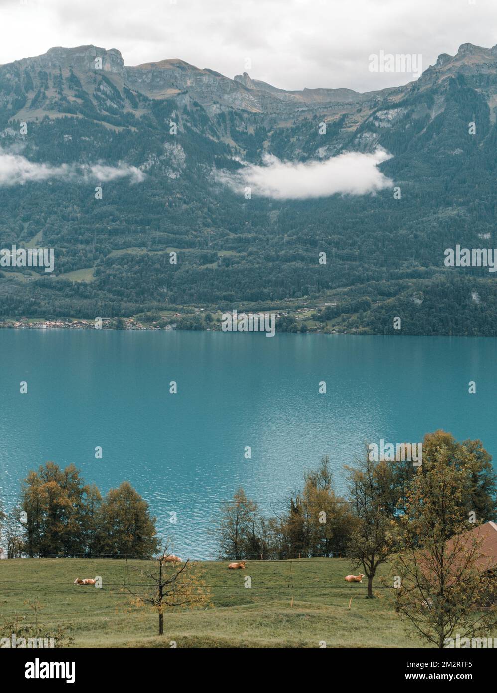 Vista di un lago con montagna sullo sfondo Foto Stock