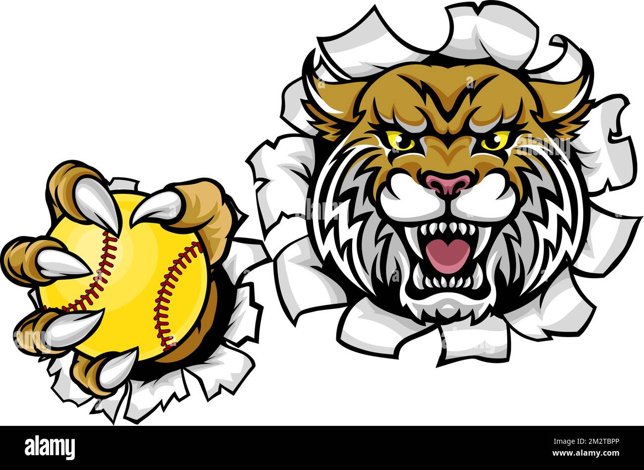 Wildcat Bobcat Softball Animal Sports Team Mascot Illustrazione Vettoriale