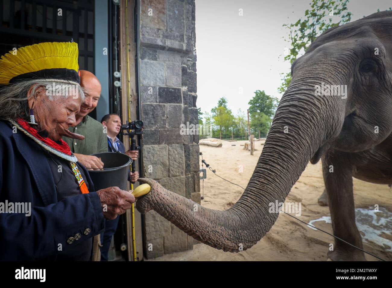 Raoni Metuktire, attivista della foresta amazzonica, è stato raffigurato durante una visita al parco zoologico Pairi Daiza, sabato 18 maggio 2019, a Brugelette. BELGA PHOTO VIRGINIE LEFOUR Foto Stock