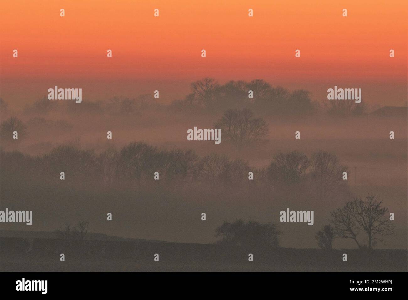 Misty tramonto in inverno Foto Stock