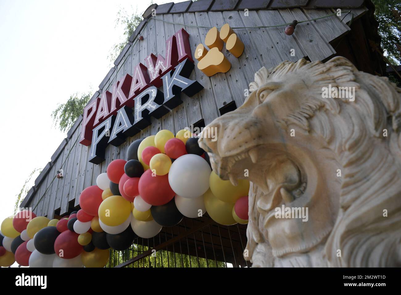 L'immagine mostra il nuovo logo prima dell'inaugurazione del parco zoologico Pakawi Park, ex Zoo di Olmense, sabato 22 giugno 2019, a Olmen. FOTO DI BELGA YORICK JANSENS Foto Stock