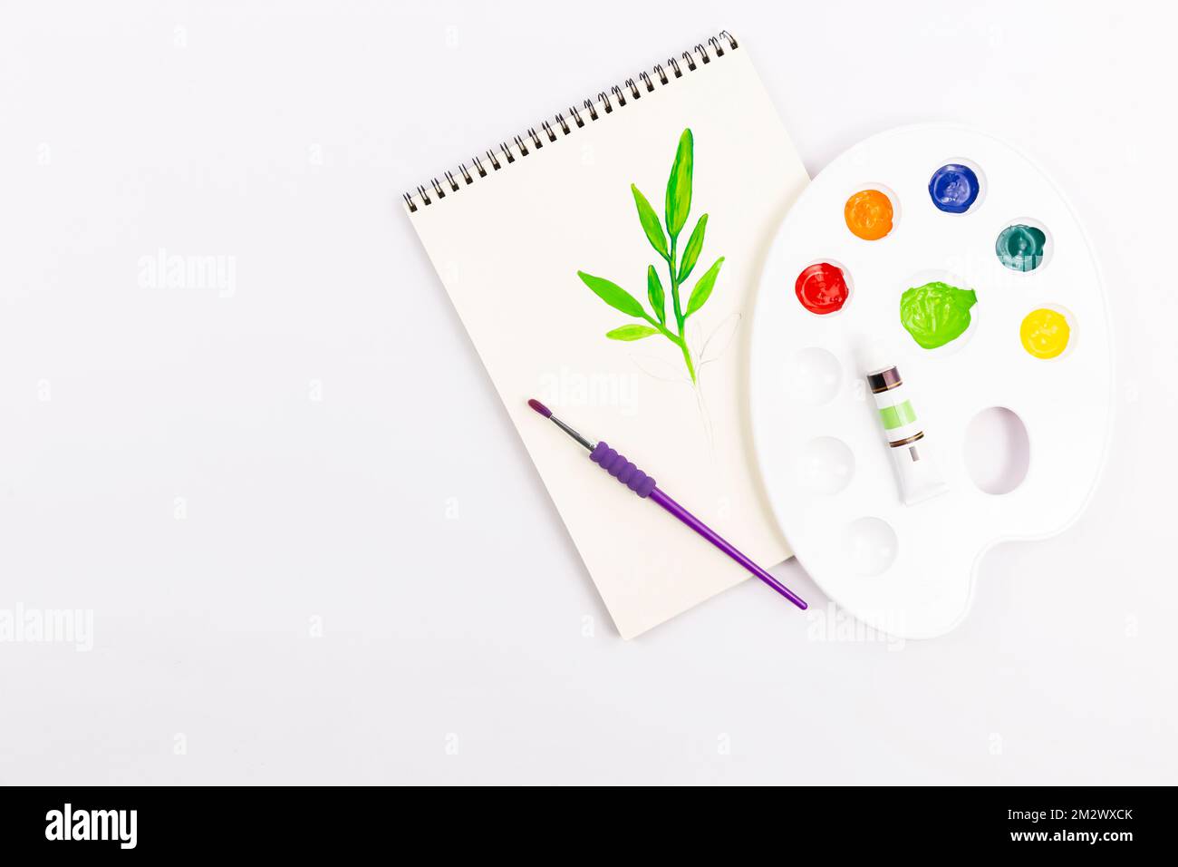 disegno di piante e pastelli colorati Foto Stock