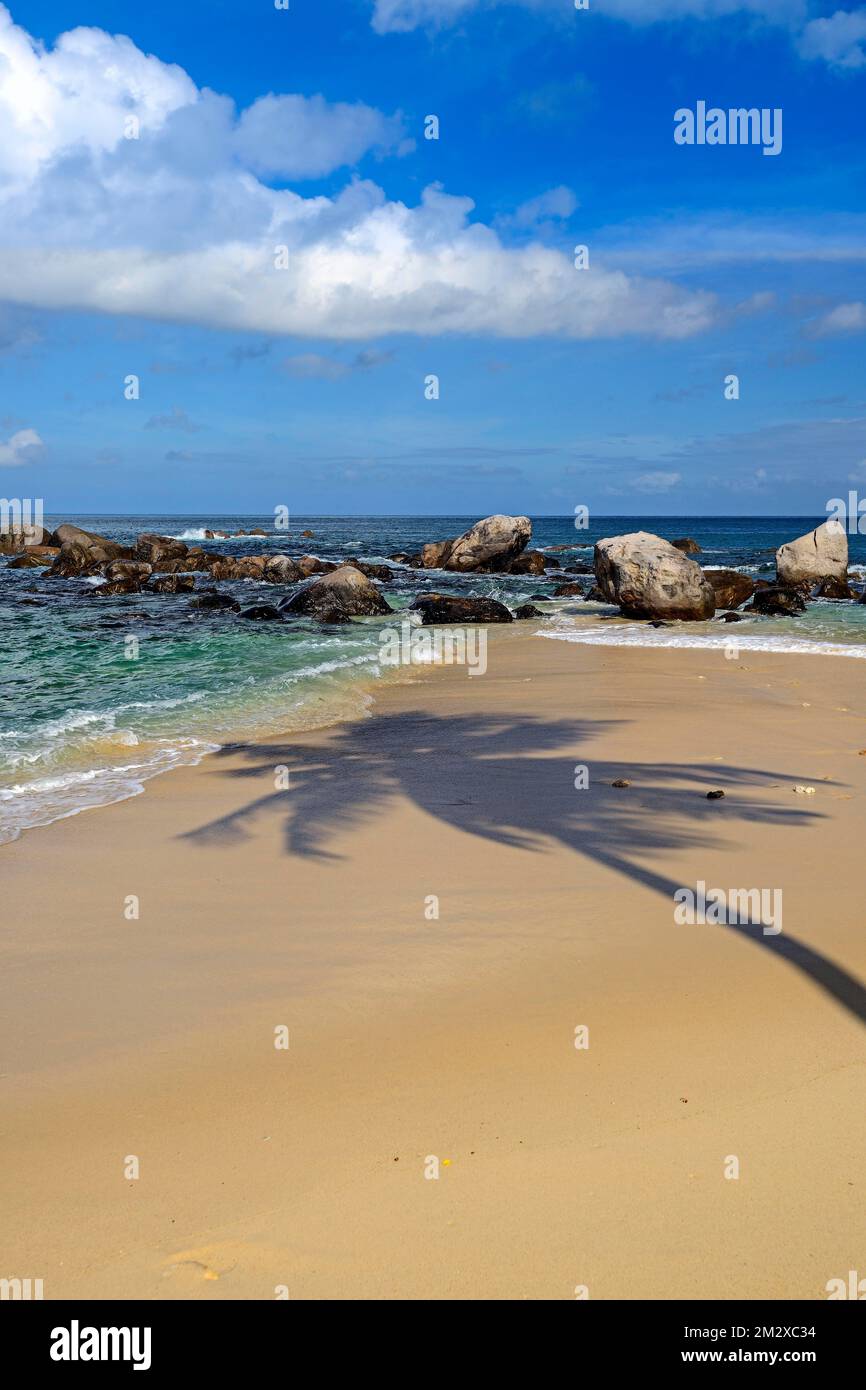 Dream Beach Glacis Beach in serata all'ombra di una palma di cocco, Mahe Island, West Coast, Seychelles Foto Stock