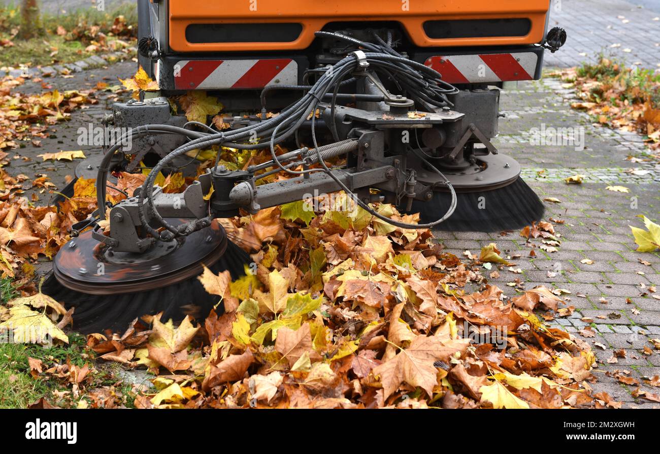 Spazzatrice spazzatrice su foglie appassite in autunno, Vellmar, Germania Foto Stock