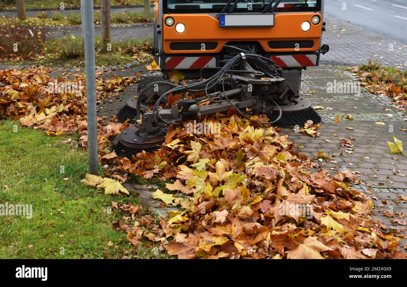 Spazzatrice spazzatrice su foglie appassite in autunno, Vellmar, Germania Foto Stock