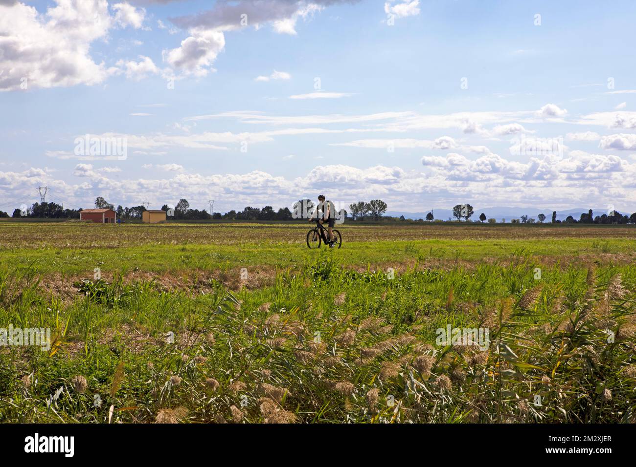 Man, 36 anni, con e-bike sulla Ciclovia del Sol, parte dell'Eurovelo 7, Enilia Romagna, Italia Foto Stock