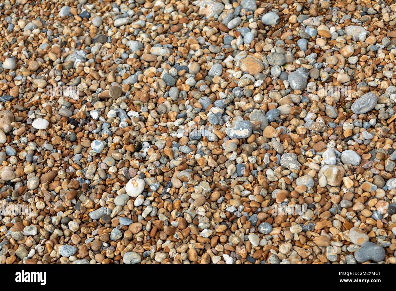Stones on the Beach, Samphire Hoe Country Park, Kent, Inghilterra, Regno Unito Foto Stock