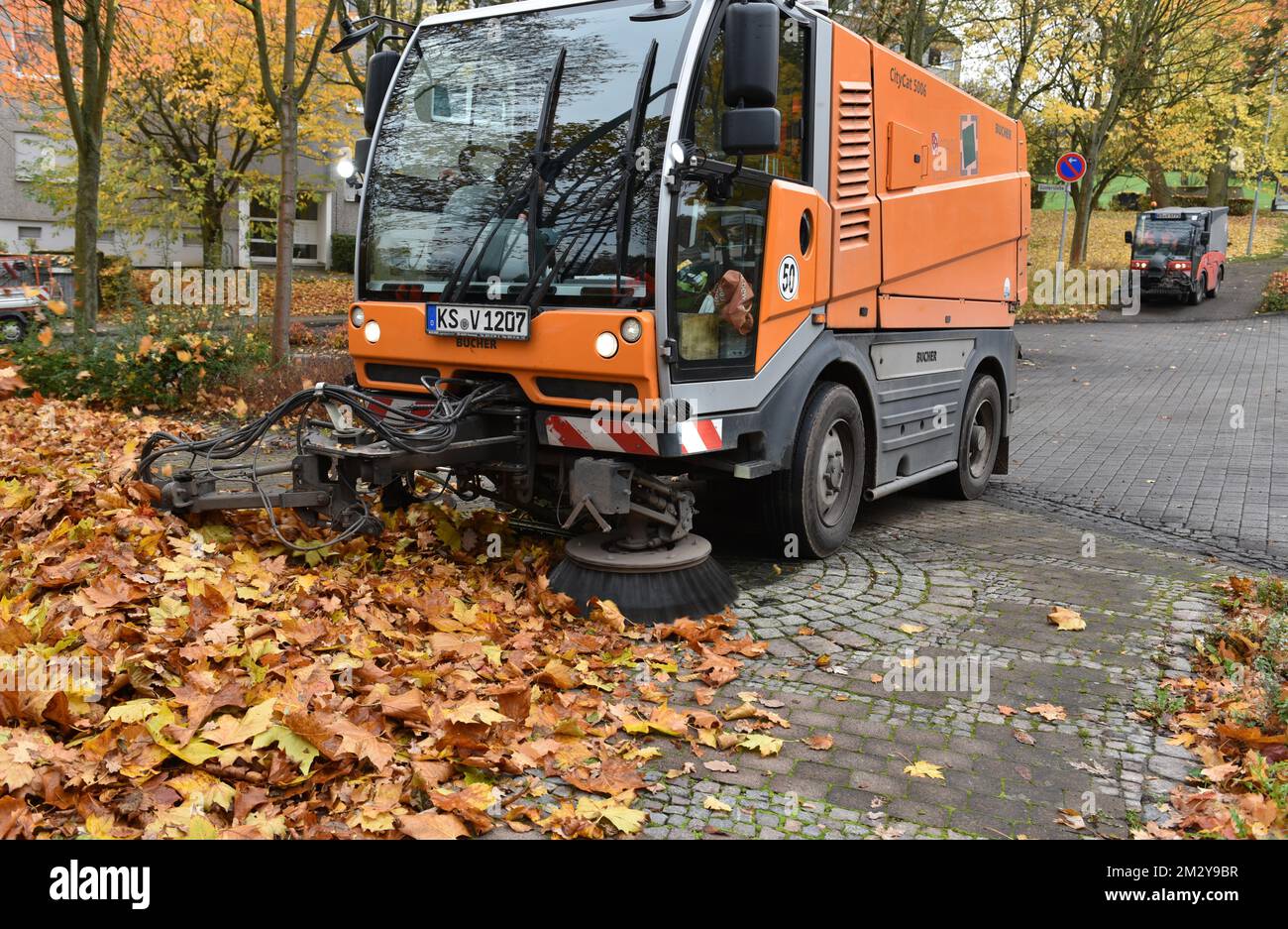 Spazzatrice spazzatrice su foglie appassite in autunno, Vellmar, Germania Foto Stock