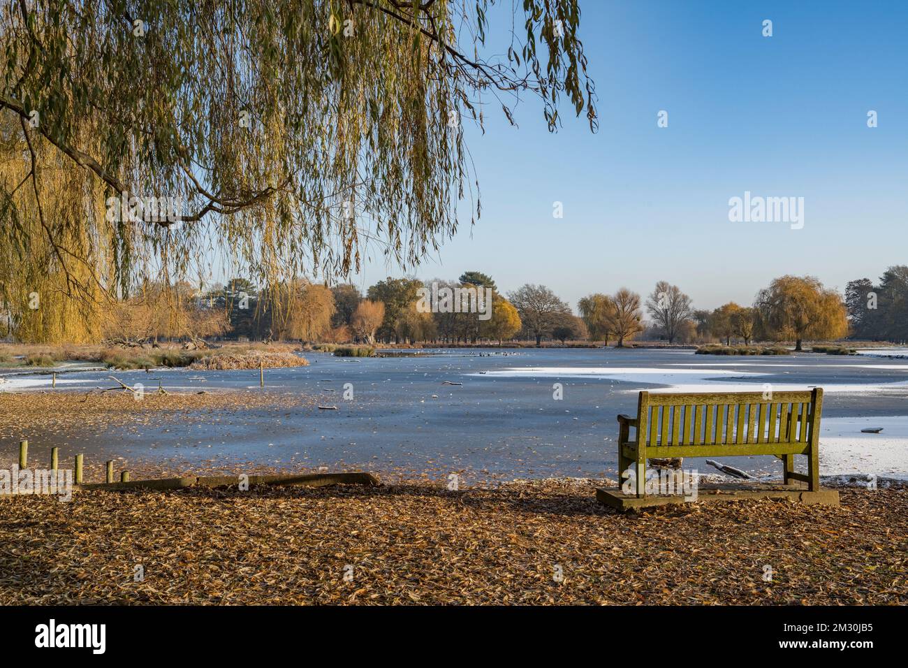 Panca da stagno immagine presa poco prima di Natale a 2 gradi sotto lo zero Foto Stock