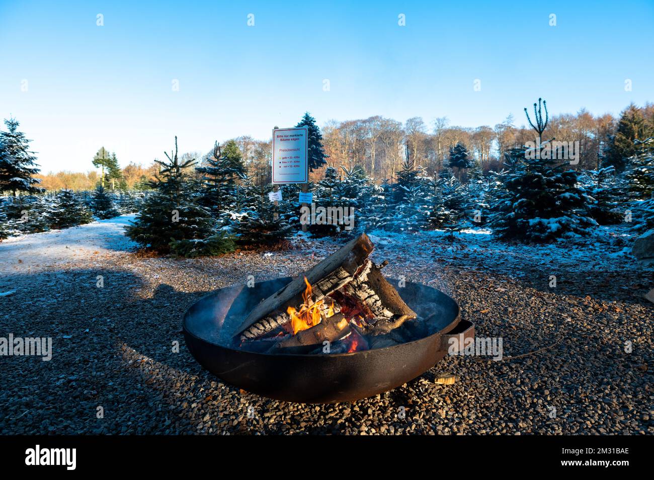 Feuerstelle zum Aufwärmen für wartenden Käufer eines Weihnachtsbaumes Foto Stock