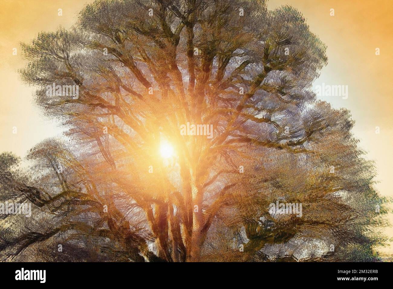 ARTE FOTOGRAFICA ICM: Albero della vita di Edmund Nagele FRPS Foto Stock