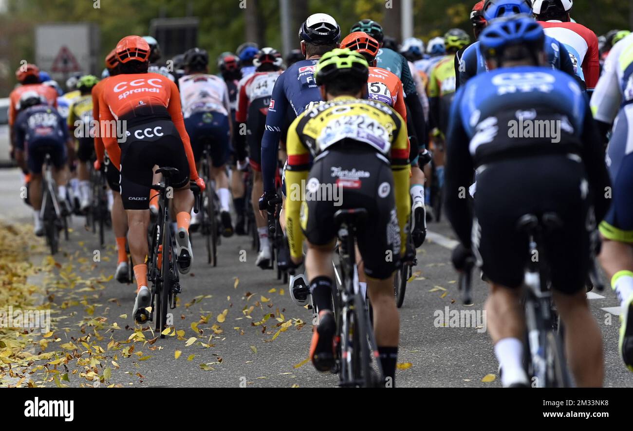 Il pack di piloti raffigurato in azione durante la 108h° edizione della gara ciclistica di un giorno 'Scheldejs', 174km da Schoten a Schoten, mercoledì 14 ottobre 2020. Le gare ciclistiche fiamminghe di quest'anno sono state rinviate dalla primavera all'autunno, a causa della pandemia di coronavirus in corso. Il pubblico consiglia di rimanere a casa e seguire la gara ciclistica in televisione o radio. FOTO DI BELGA DIRK WAEM Foto Stock