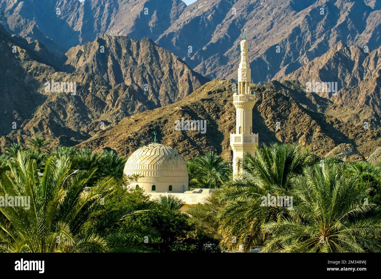 Cupola e minareto della moschea tra le date orchard vicino alla Hatta, Dubai Foto Stock
